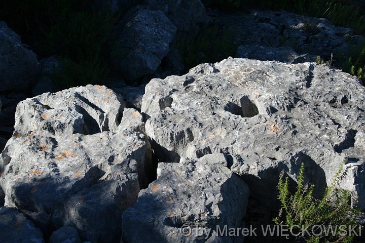 IMG_5633_M