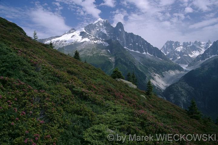 Marek_Wieckowski162