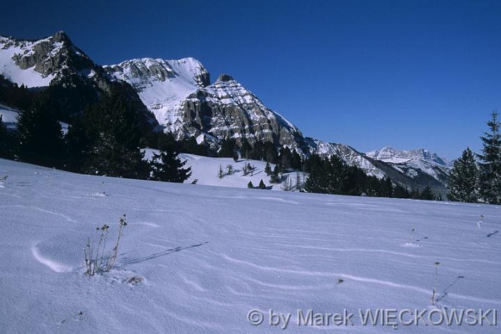 Marek_Wieckowski96