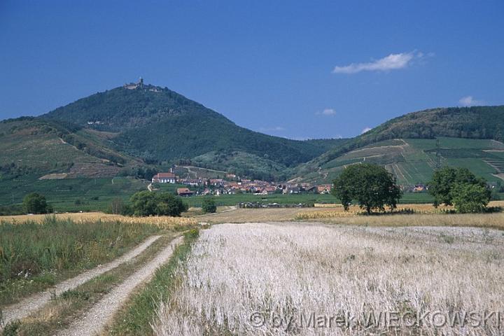 Marek_Wieckowski12