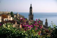 1_MENTON