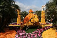 IMG_8489