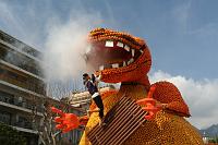 IMG_8515