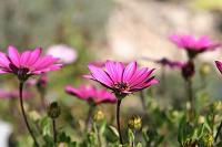 IMG_7994
