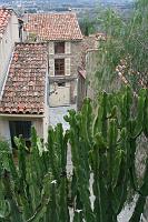 IMG_9934
