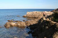IMG_9464