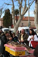 IMG_9514