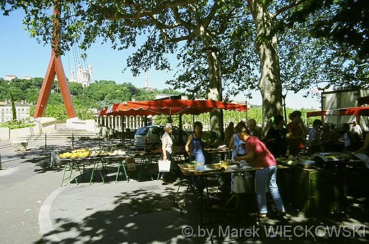 9493_saone