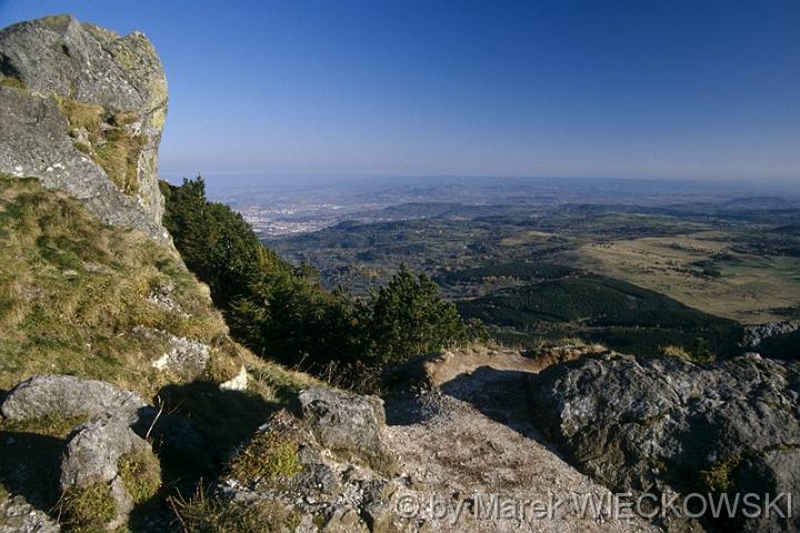 Marek_Wieckowski139