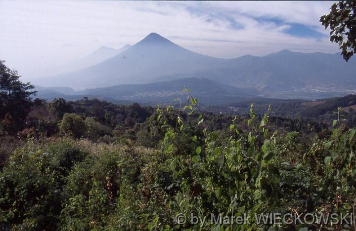 guate_457