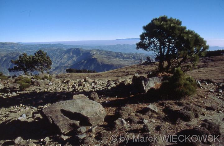 guate_721