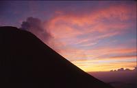 guate_557