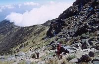 guate_764