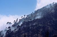 guate_769
