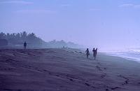 guate_848
