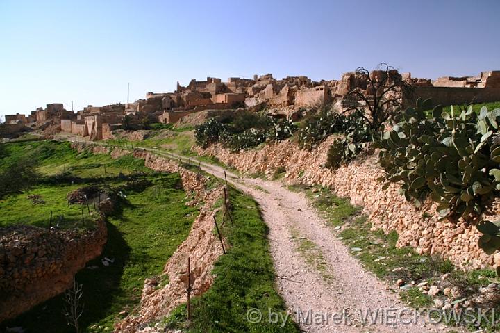 IMG_0581_jebel