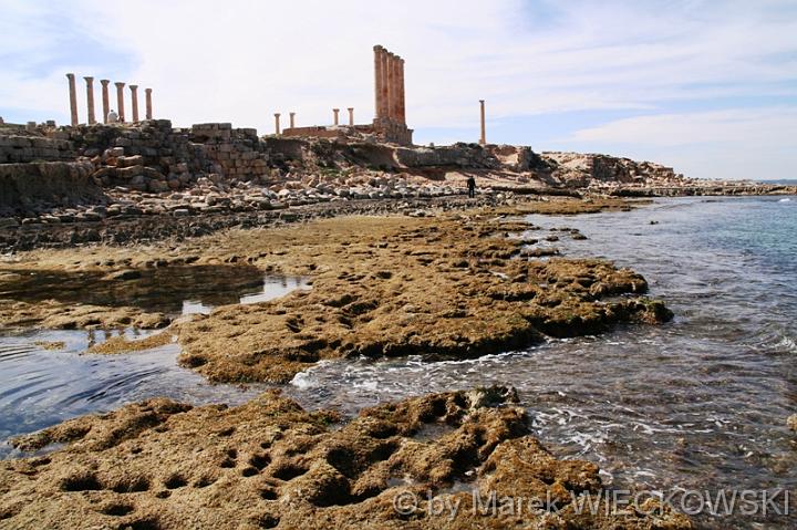 IMG_0344_sabratha