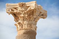 IMG_0387_sabra