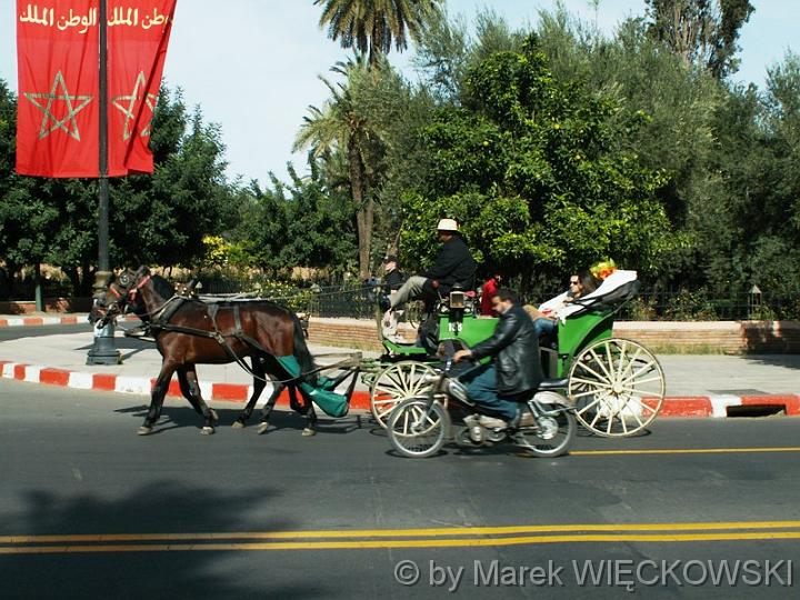 PICT0145