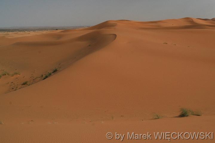 maroko_4787_sahara
