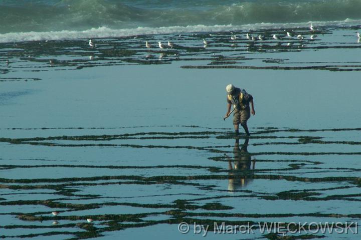 PICT0090