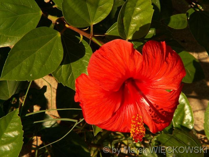 PICT0129