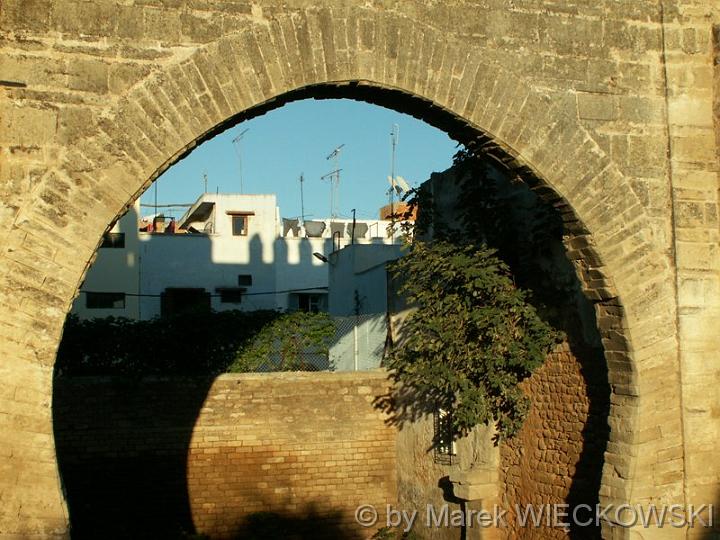 PICT0150