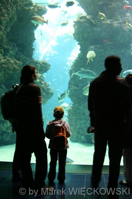 8111_muzeum_oceanograficzne