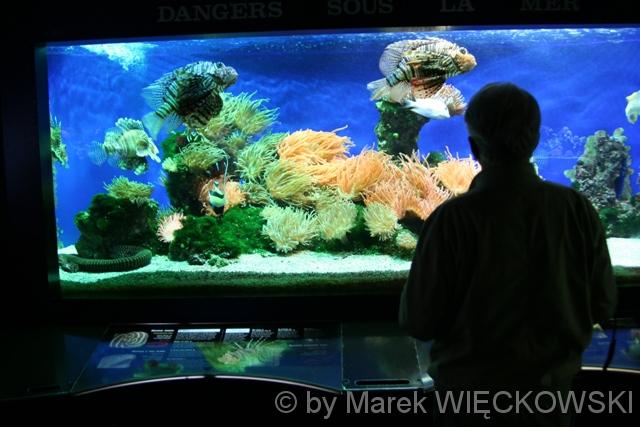 8164_muzeum_oceanograficzne