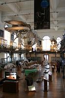 8249_muzeum_oceanograficzne