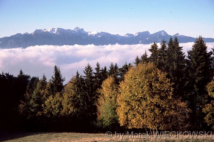 inwersja_swiss_02